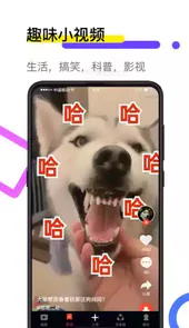 火萤视频桌面软件