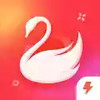 58到家官网 1.2