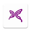 白蝴蝶app 1.6