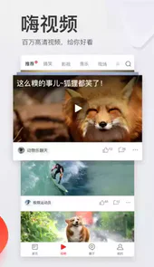 网易新闻