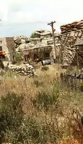 FPS突击队射击(FPS Commando Shooting Games)