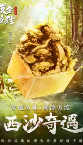 摸金校尉之天字卷在线玩