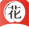 花季正式版 2.4