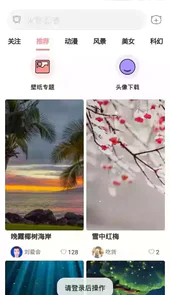 萌猫壁纸手机超清全面屏