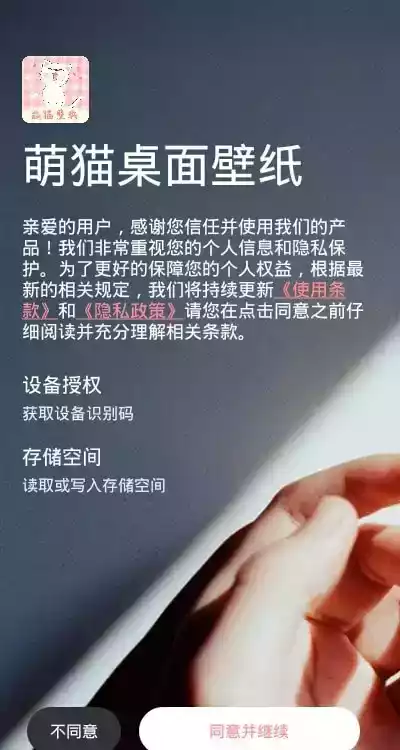 萌猫唯美壁纸超清