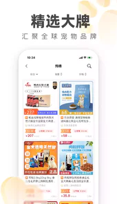 掌中宠V0.0.11安卓版