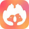 掌中宠V0.0.11安卓版 2.27