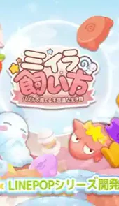 小木乃伊的饲养方法