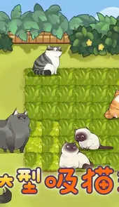 猫咪物语