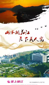 掌上桃江官网