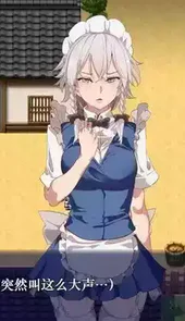 时间停止幻想乡安卓