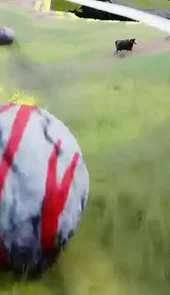 世纪之石
