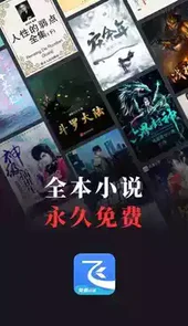 免费阅读飞读小说
