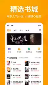 七猫免费阅读小说全免费官方