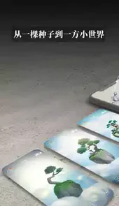 禅定花园2