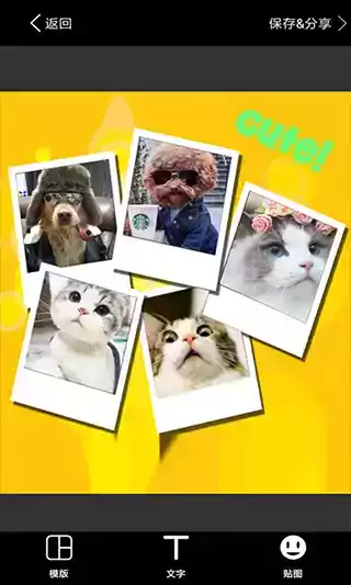 拼图软件电脑版