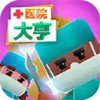 医院大亨免费 4.22