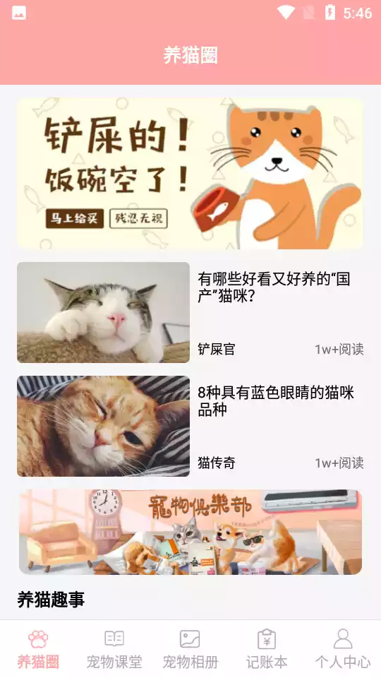 遇见我的猫