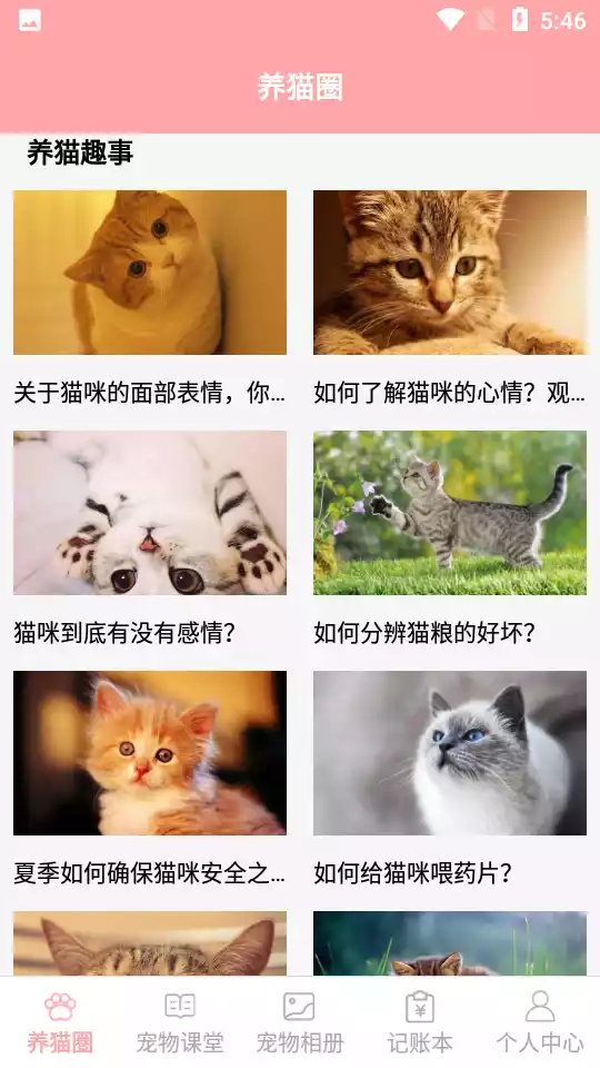 遇见我的猫