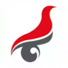 学信网老版本 4.7