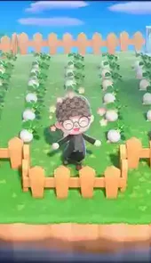 动物森友会手机版中文版最新版