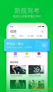 斑斑驾道定制版v4.0.0