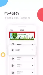 国家政务服务平台小程序