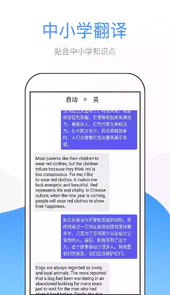 中转英文翻译器在线