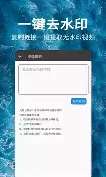 一键视频去水印免费网站