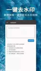 一键视频去水印免费网站