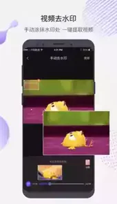去水印魔法师