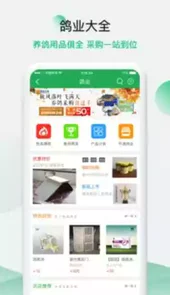 中国信鸽信息网手机