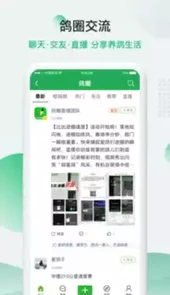 中国信鸽信息网手机