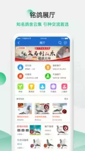 中国信鸽信息网手机