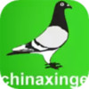 中国信鸽信息网手机 1.15