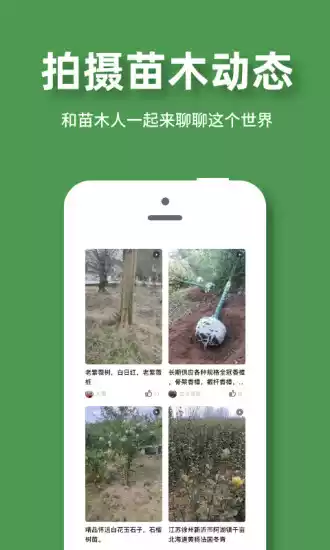 好苗木V3.1安卓版