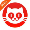 猫眼票房专业版app 7.28