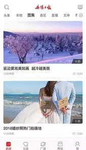 安阳日报电子版