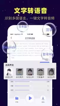 录音转文字在线转换