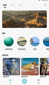 轻松白噪音app
