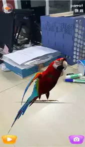 魔法百科