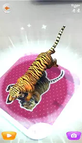 魔法百科