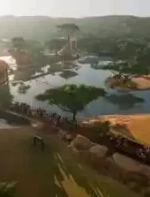 动物园之星