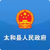 太和县政府手机版 3.29