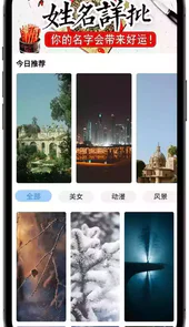枫叶壁纸图片