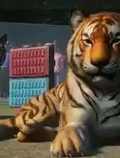 动物园之星免费中文版