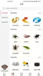 中蟋网交易市场