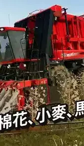 模拟农场19