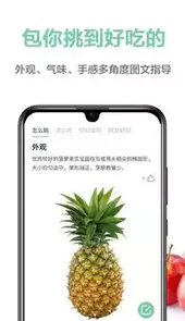果蔬百科