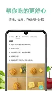果蔬百科